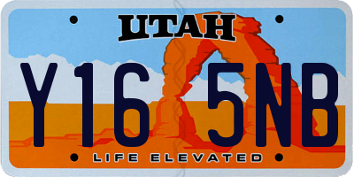 UT license plate Y165NB
