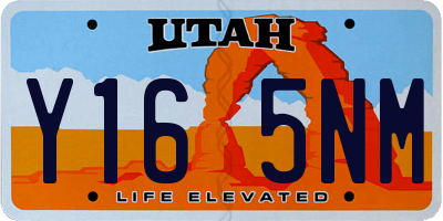 UT license plate Y165NM