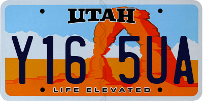 UT license plate Y165UA