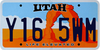 UT license plate Y165WM
