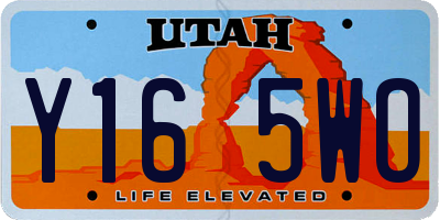 UT license plate Y165WO