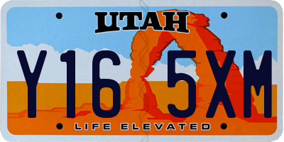 UT license plate Y165XM