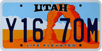 UT license plate Y167OM