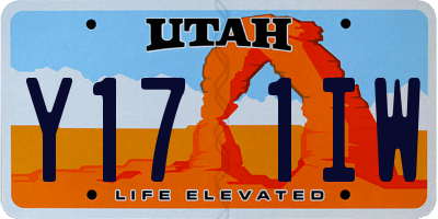 UT license plate Y171IW