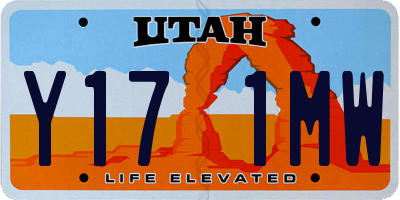 UT license plate Y171MW