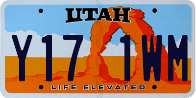 UT license plate Y171WM