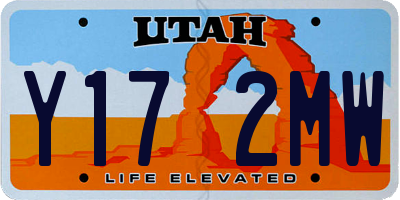 UT license plate Y172MW