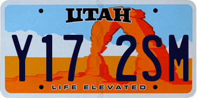 UT license plate Y172SM