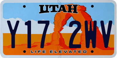 UT license plate Y172WV