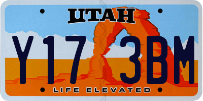 UT license plate Y173BM