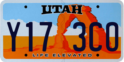 UT license plate Y173CO