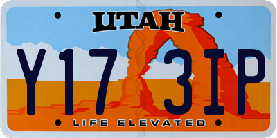 UT license plate Y173IP