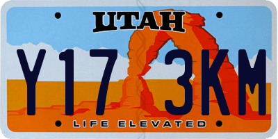 UT license plate Y173KM