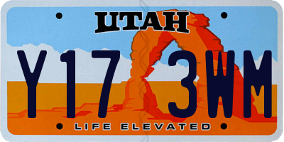 UT license plate Y173WM