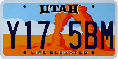 UT license plate Y175BM