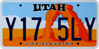 UT license plate Y175LY