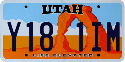 UT license plate Y181IM