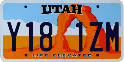 UT license plate Y181ZM