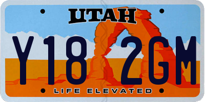 UT license plate Y182GM