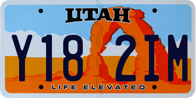 UT license plate Y182IM