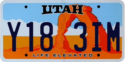 UT license plate Y183IM