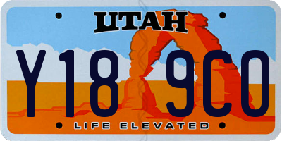 UT license plate Y189CO