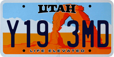 UT license plate Y193MD