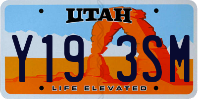 UT license plate Y193SM
