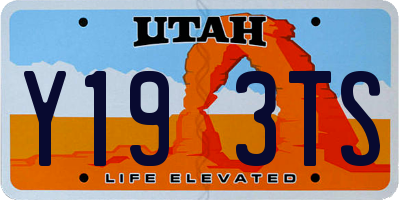 UT license plate Y193TS