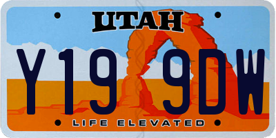 UT license plate Y199DW