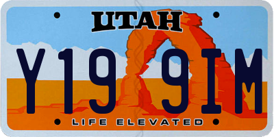 UT license plate Y199IM