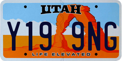 UT license plate Y199NG