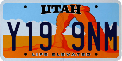 UT license plate Y199NM