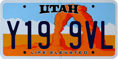 UT license plate Y199VL