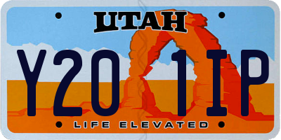 UT license plate Y201IP