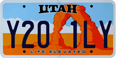 UT license plate Y201LY