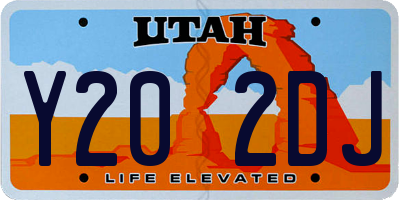 UT license plate Y202DJ