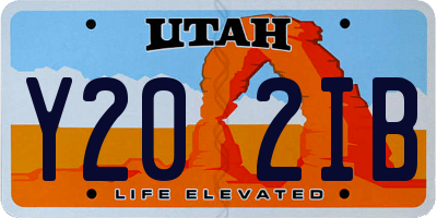 UT license plate Y202IB