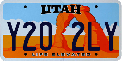 UT license plate Y202LY