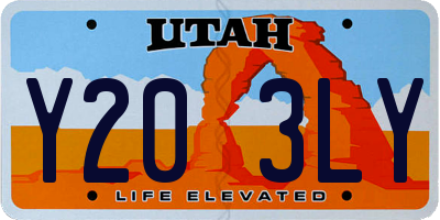 UT license plate Y203LY
