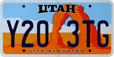 UT license plate Y203TG