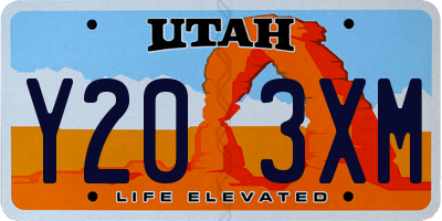 UT license plate Y203XM