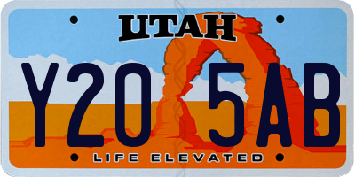 UT license plate Y205AB