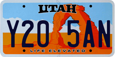 UT license plate Y205AN
