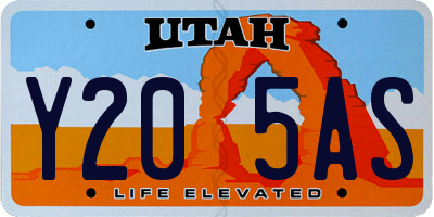 UT license plate Y205AS