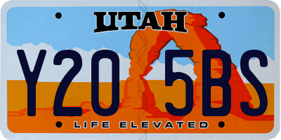 UT license plate Y205BS