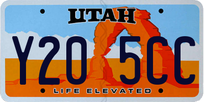 UT license plate Y205CC