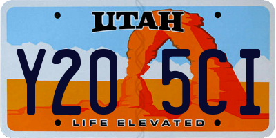 UT license plate Y205CI