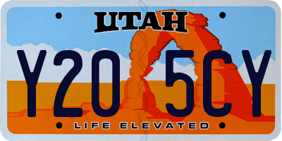 UT license plate Y205CY