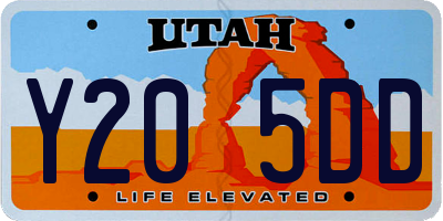 UT license plate Y205DD